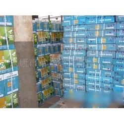 浙江加盟牌批發與供應市場分析